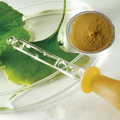 Il miglior ingrediente medicina-Ginkgo Biloba estratto in polvere in inverno
