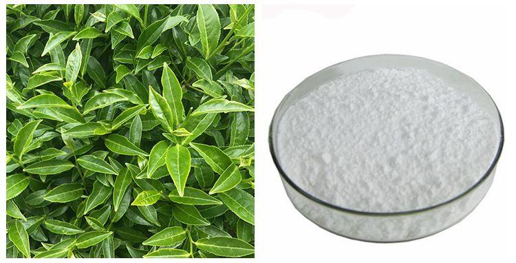 L-Theanine Extract