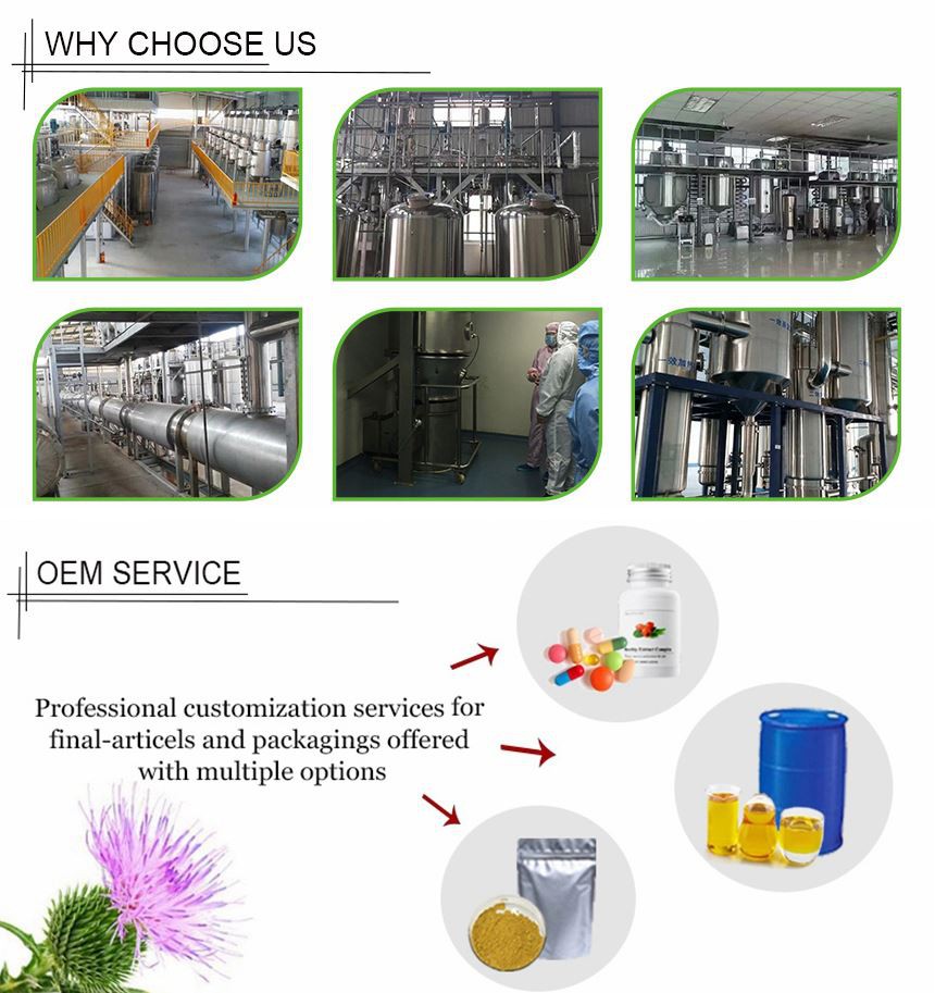 SOST factory SOST factory