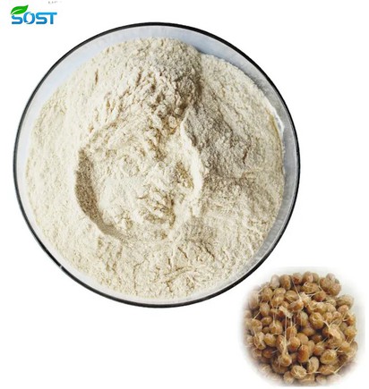 nattokinase powder nattokinase powder