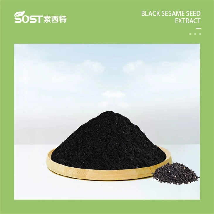 Black Sesame Extract Powder