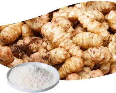 Inulin4 Inulin4