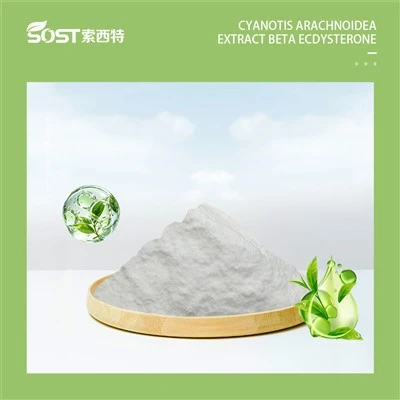 Estratto di Cyanotis Arachnoidea