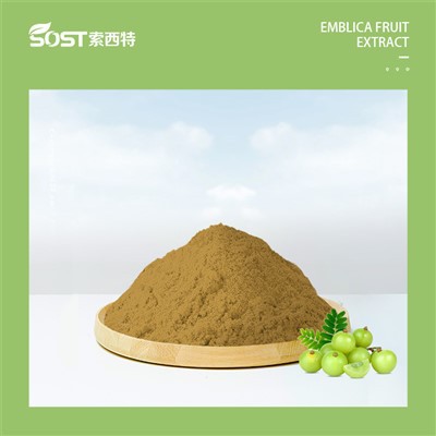 Estratto di Emblica Officinalis