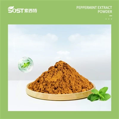 Estratto di menta piperita in polvere