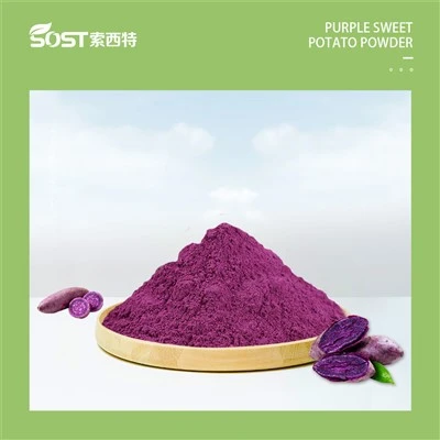 Polvere di estratto di patata dolce viola