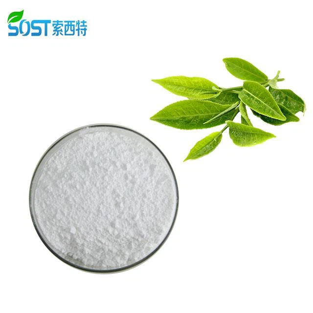 L-Theanine Extract Powder