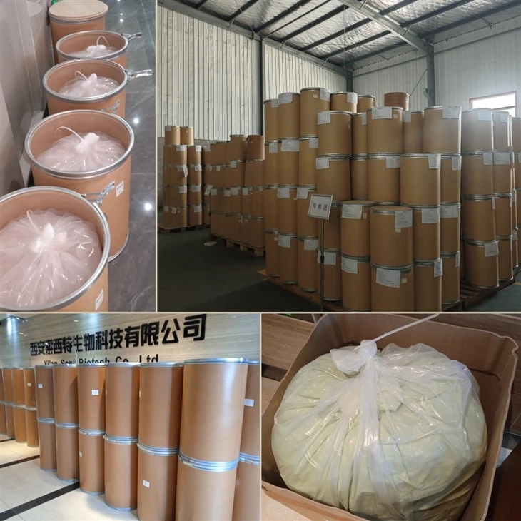 Birch Sap Powder factory